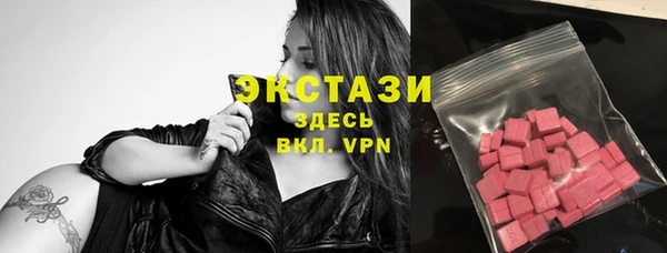 шишки Няндома