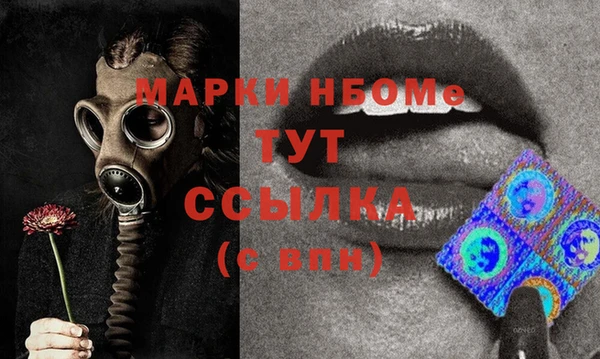 шишки Няндома