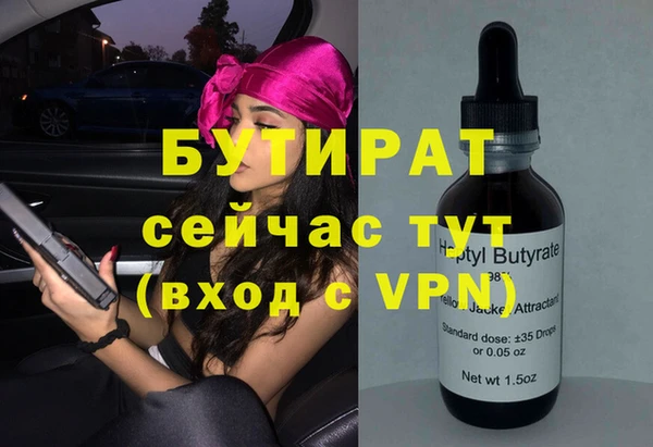шишки Няндома
