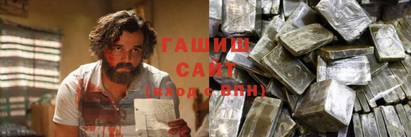 шишки Няндома