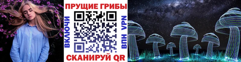 Псилоцибиновые грибы Psilocybine cubensis  blacksprut рабочий сайт  Красноперекопск  закладки 