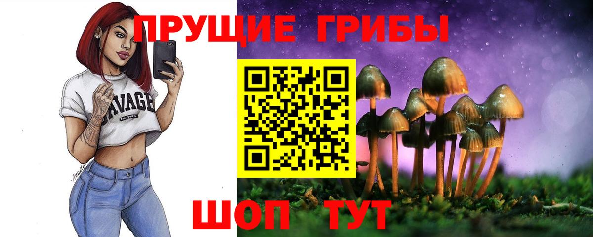 Красноперекопск  Псилоцибиновые грибы Psilocybe  Галлюциногенные грибы Magic Shrooms  Вход с VPN 
