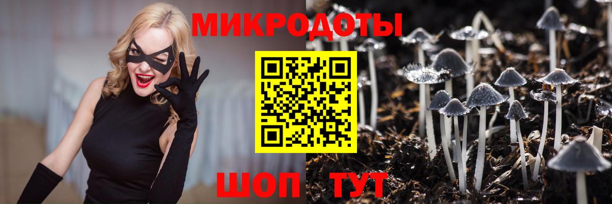 Галлюциногенные грибы GOLDEN TEACHER  Псилоцибиновые грибы прущие грибы  Красноперекопск 